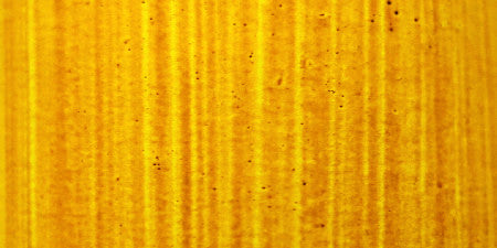 Nickel Azo Yellow - Indian Yellow - 40ml